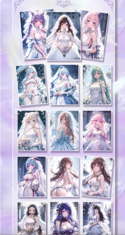 Flipped Card Waifu Collection A5 Size