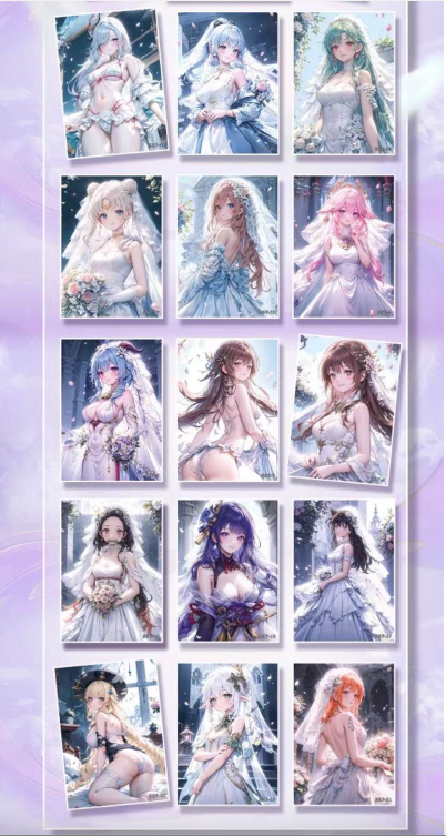 Flipped Card Waifu Collection A5 Size