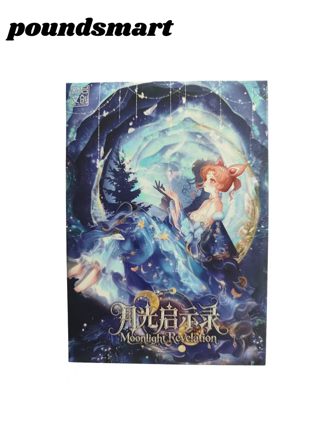 Xinqi Sailor Moon Acrylic Board Collection A6 Size