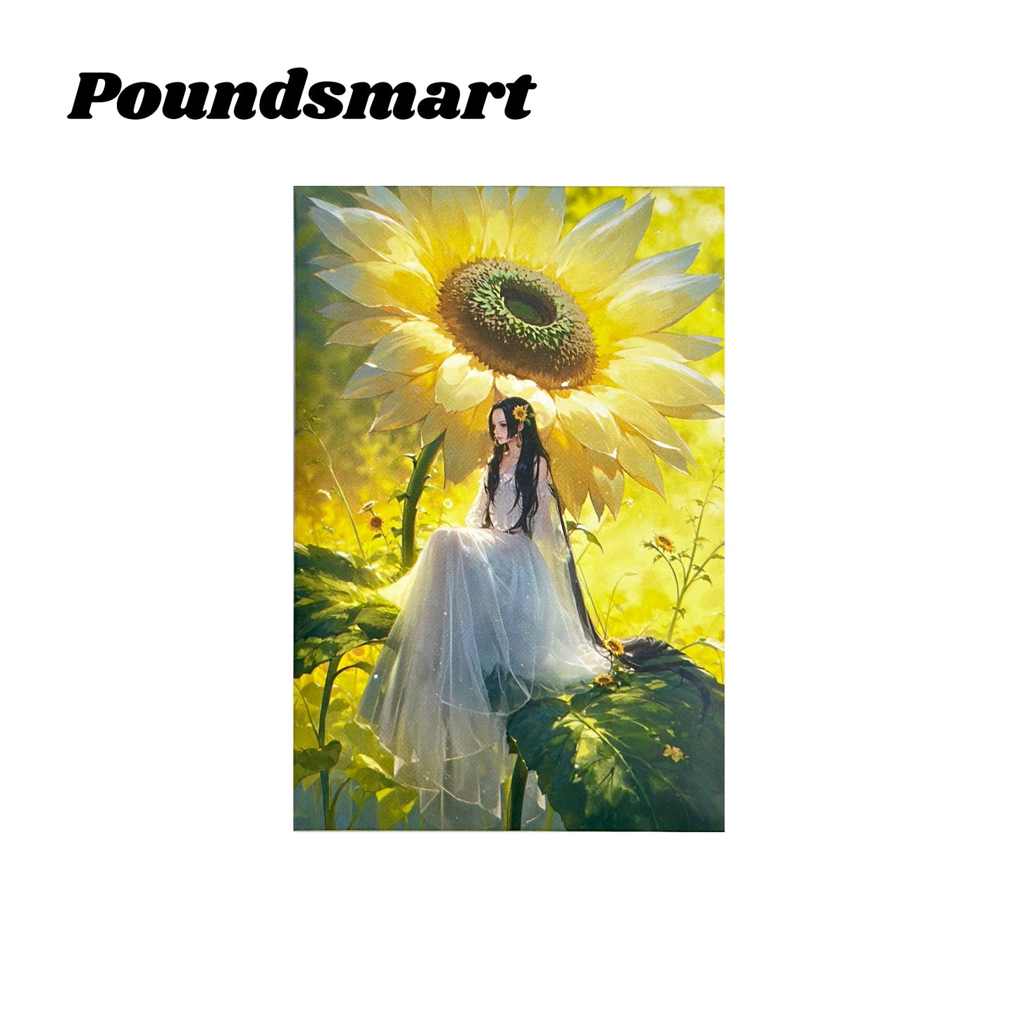 Boyu One Piece Jelly Diamond Card Collection